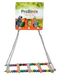 KÖPRÜ SALINCAK KÜÇÜK