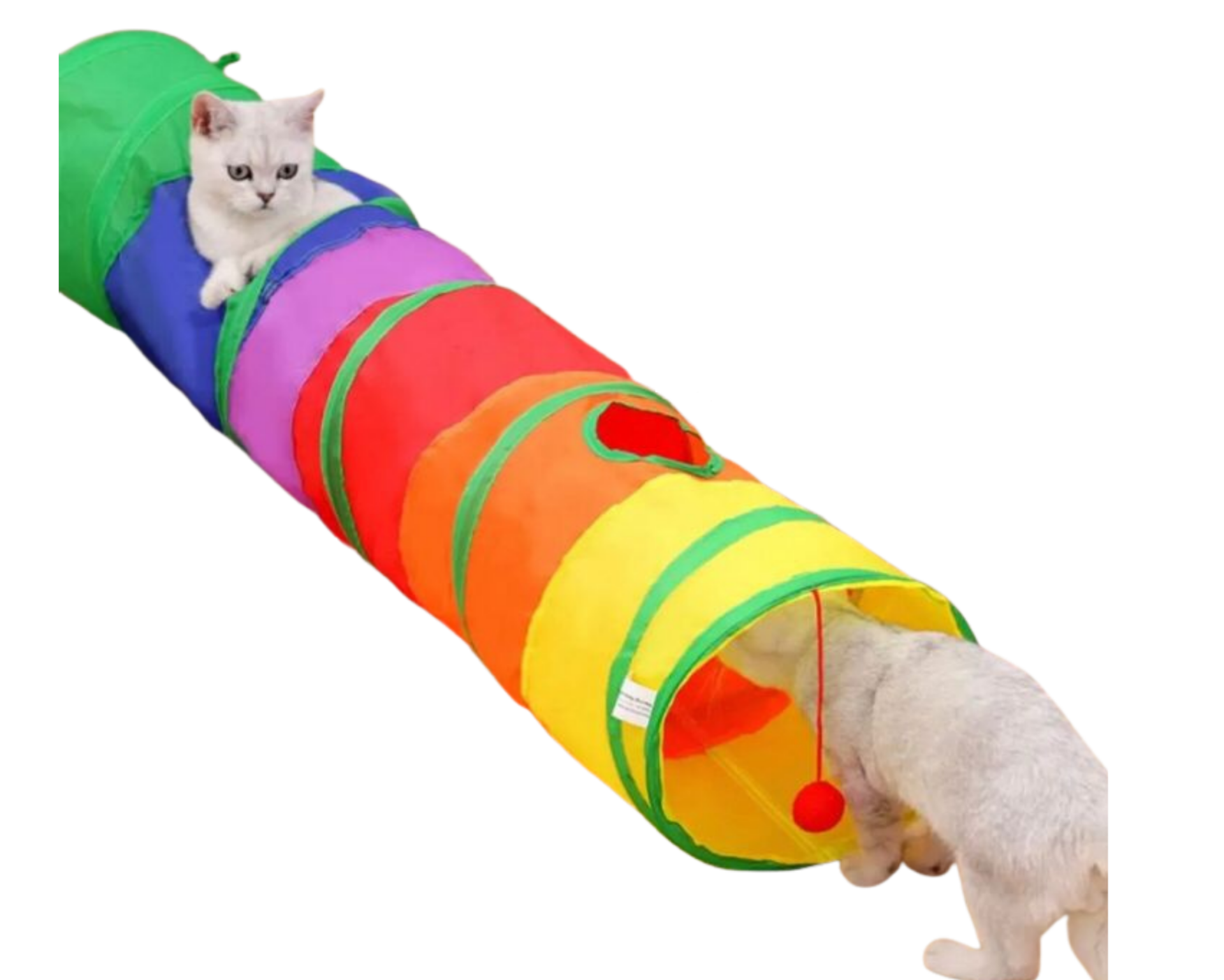 Düz Kedi Oyun Tüneli