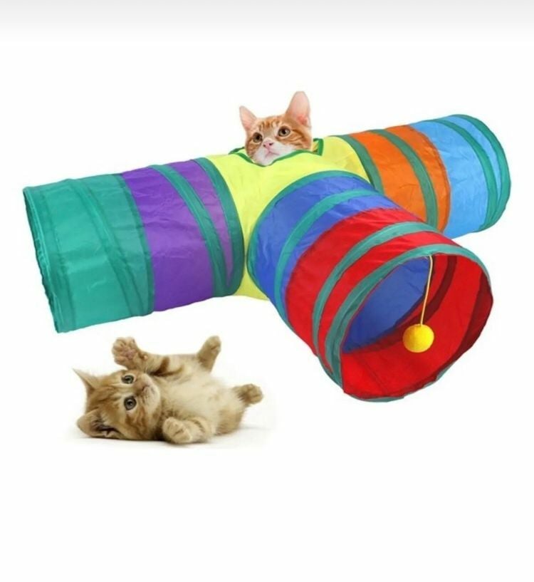 Üç Yollu Kedi Oyun Tüneli