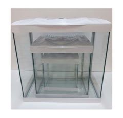 IŞIKLI AKVARYUM 3'LÜ