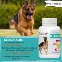 PRO PERFECK KÖPEK GLUKOSAMIN 75 TABLET