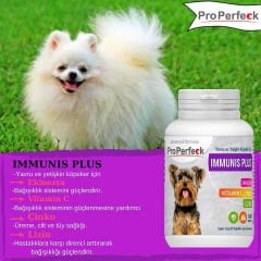 PRO PERFECK KÖPEK IMMUNIS PLUS 100 TABLET