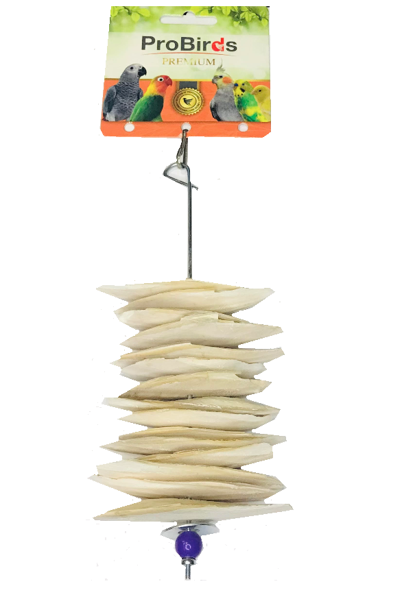 15'Li Askıda Kalamar Kemiği