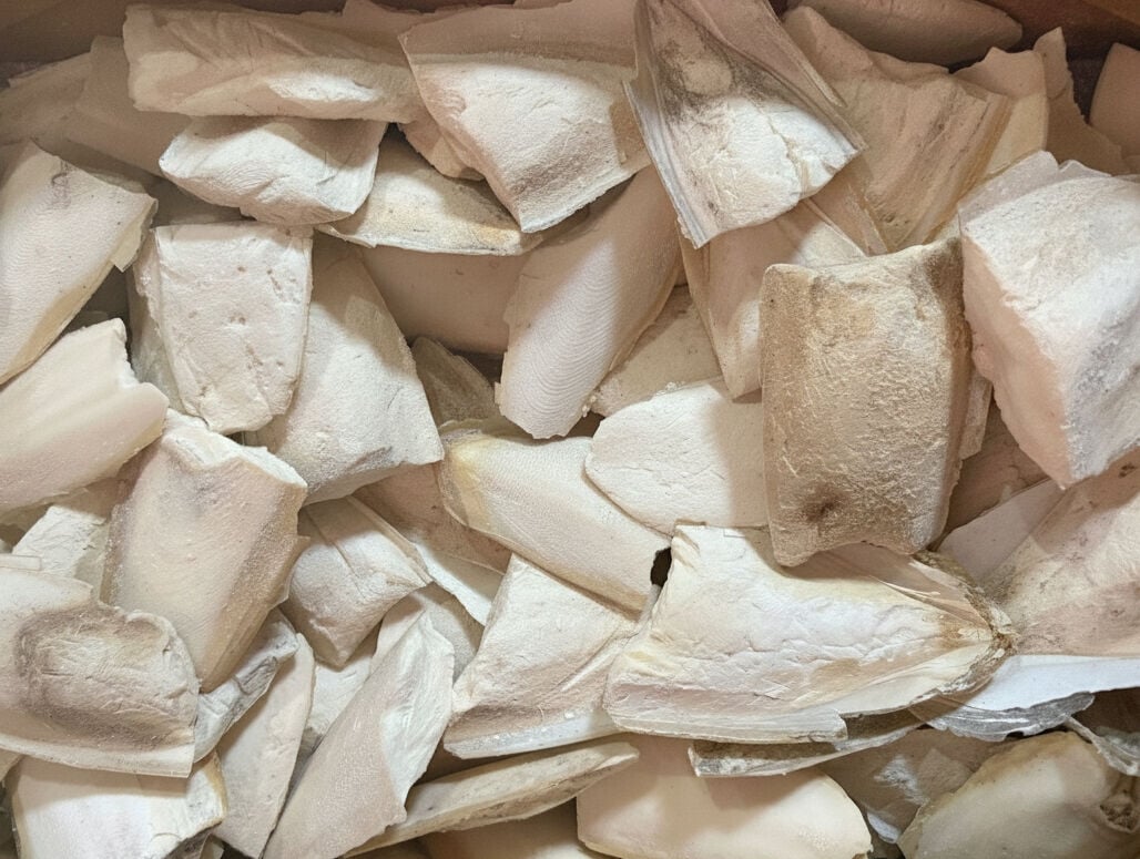 KALAMAR KEMİK KIRIK 10-15cm 1 kg