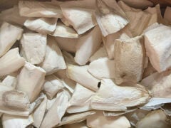 KALAMAR KEMİK KIRIK 10-15cm 1 kg