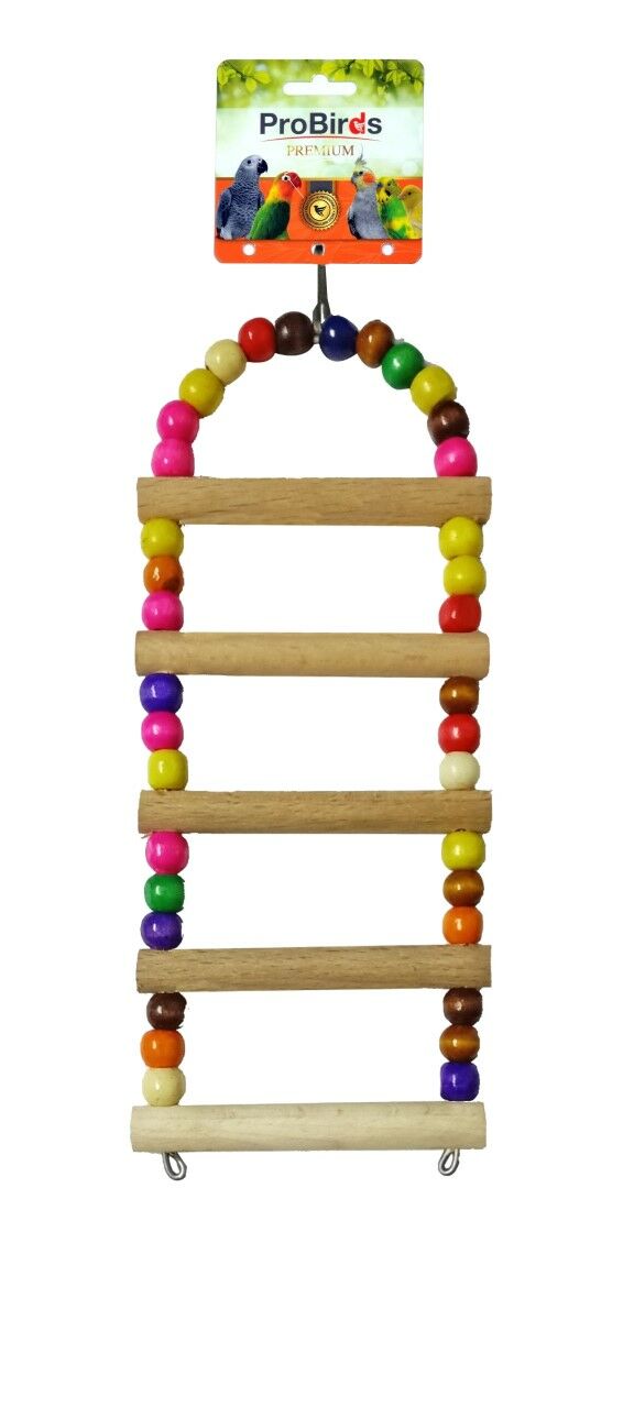 OVAL MERDİVEN BÜYÜK