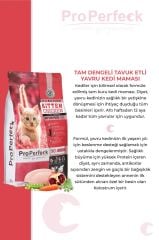 PREMİUM TAVUKLU NARLI HAVUÇLU YAVRU KEDİ MAMASI 2 KG
