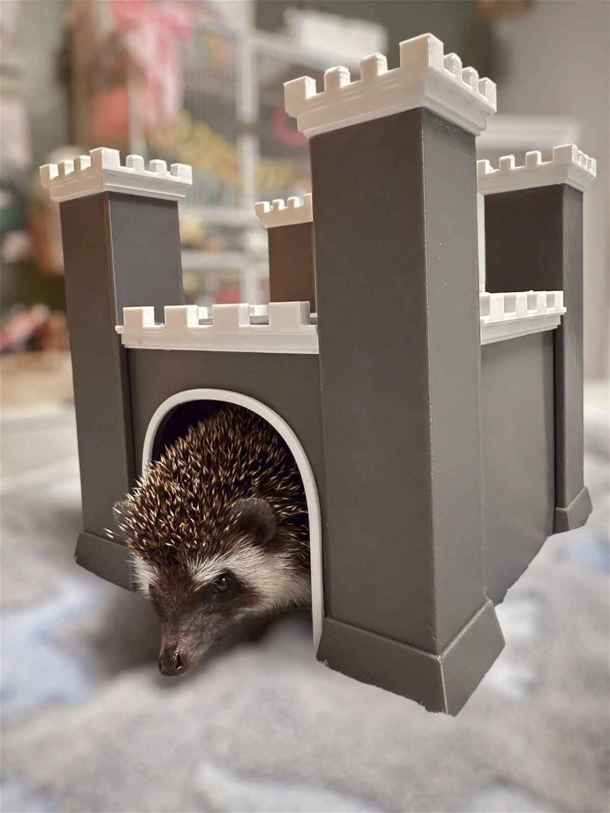 HAMSTER KALESİ