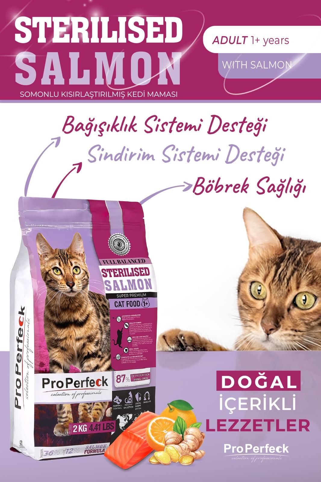 PREMİUM KISIRLAŞTIRILMIŞ SOMONLU PORTAKALLI KEDİ MAMASI 2 KG