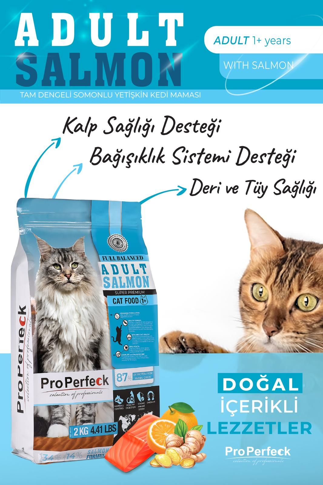 PREMİUM YETİŞKİN SOMONLU PORTAKALLI KEDİ MAMASI 2 KG