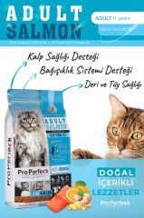 PREMİUM YETİŞKİN SOMONLU PORTAKALLI KEDİ MAMASI 2 KG