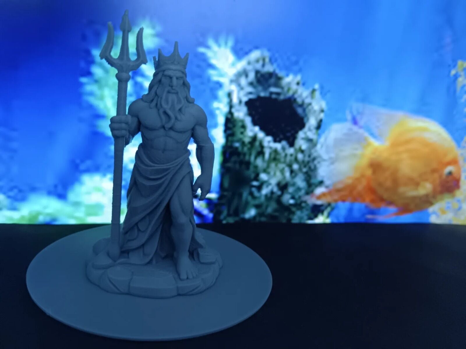 AKVARYUM SÜSÜ ZEUS