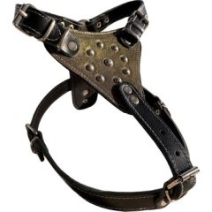 Gladyatör Göğüs Tasması Büyük Boy