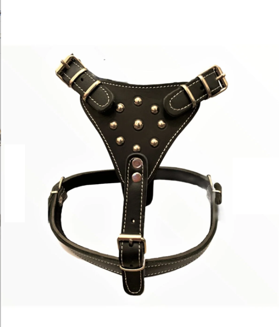 Gladyatör Göğüs Tasması BÜYÜK BOY ARMALI