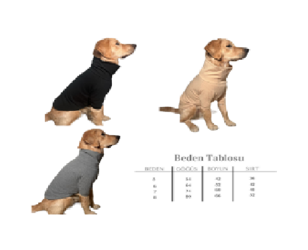 Büyük Irk Köpekler İçin 4'Lü Set Fitilli Kıyafet
