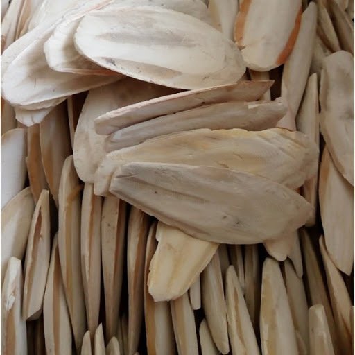 KALAMAR KEMİĞİ 5-10 CM 5 KG