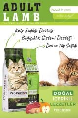 PRO PERFECK PREMİUM KUZULU BAL KABAKLI VE ELMALI KEDİ MAMASI 2 KG