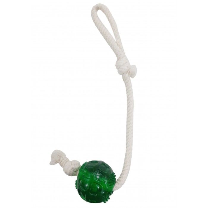 Pet Style İPLİ TOP