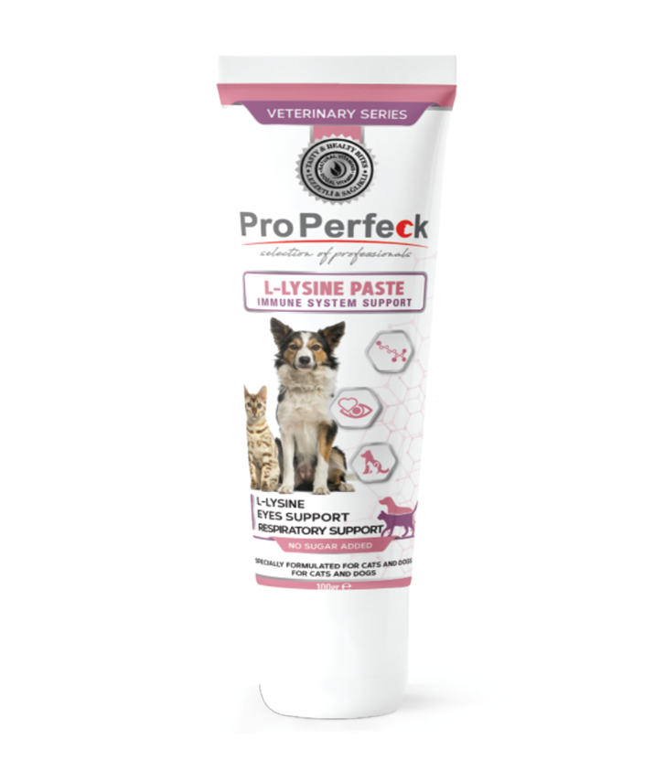 PRO PERFECK Kedi ve Köpekler için Bağışıklık ve Solunum Yolu Destek Macunu 100 Gr 12 Adet