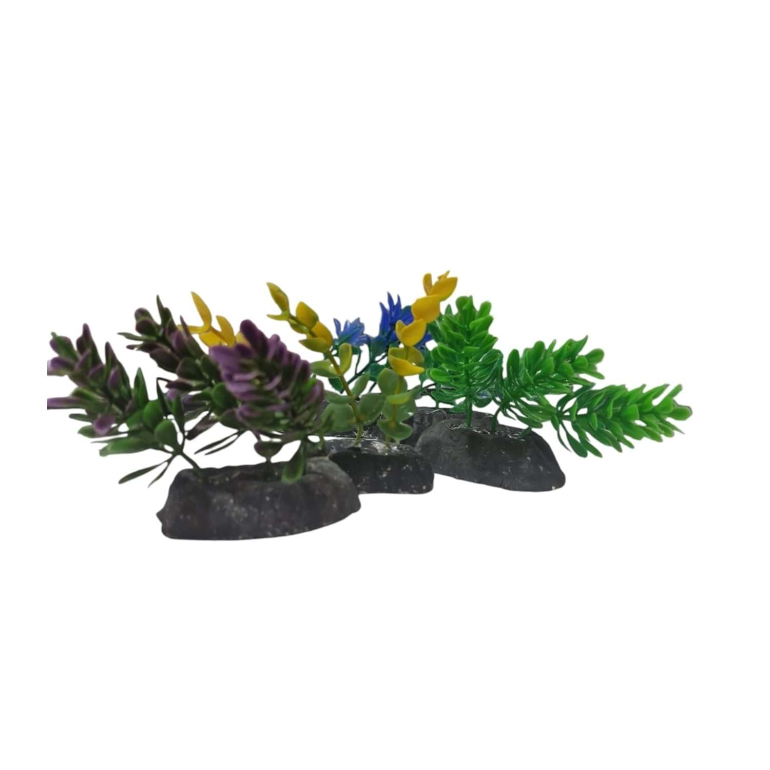 8 cm Bitki 10 lu Paket