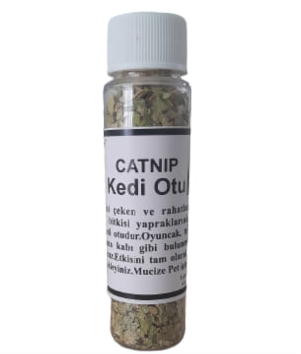 Power Time Catnip Kedi Otu