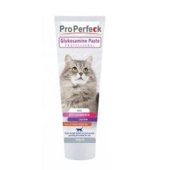 Pro Perfeck Glukosamin Paste 100 GR