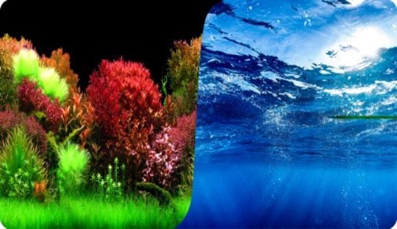 Çift Taraflı Poster 3 Boyutlu 50cm-15mt