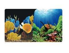 Çift Taraflı Plastik Poster  60 Cm-15 Mt