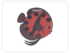 YAPIŞKAN DERECE DISCUS BALIĞI