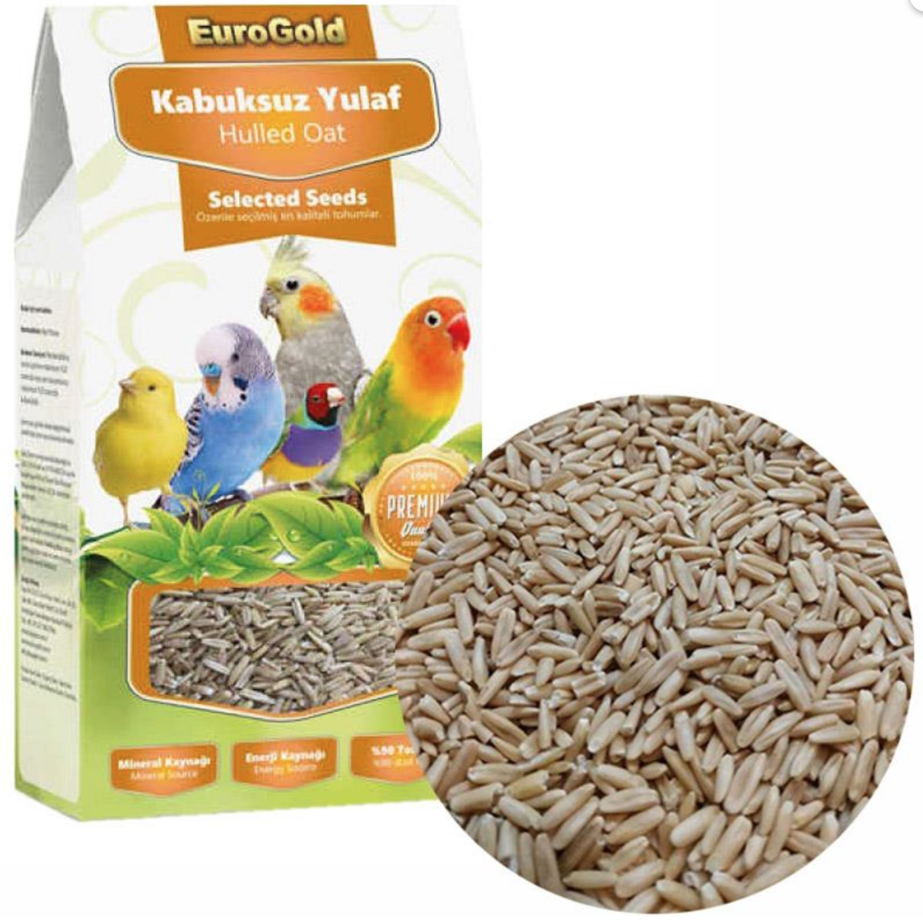 EuroGold Yulaf Tohumu 150G 10 Adet