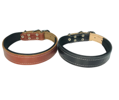 Deri Boyun Tasması  TELLİ 2x50 Cm