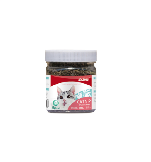Bioline Catnip Kedi Otu 230 ml