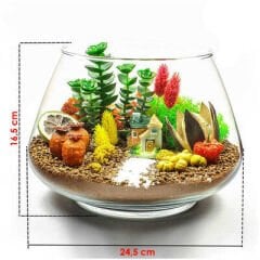 Büyük Oslo Fanus 6 lı (24,5*16,5) İçi Boş Fanus