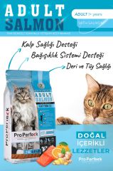 PREMİUM YETİŞKİN SOMONLU PORTAKALLI KEDİ MAMASI 10 KG