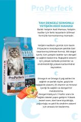 PREMİUM YETİŞKİN SOMONLU PORTAKALLI KEDİ MAMASI 10 KG
