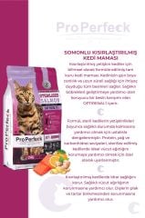 PREMİUM KISIRLAŞTIRILMIŞ SOMONLU PORTAKALLI KEDİ MAMASI 10 KG