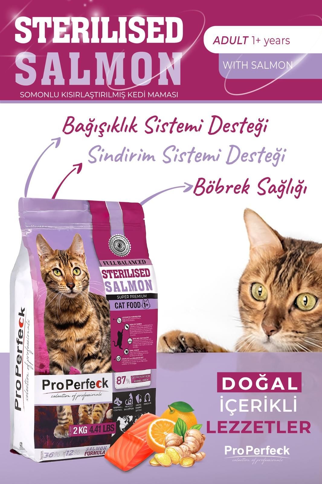 PREMİUM KISIRLAŞTIRILMIŞ SOMONLU PORTAKALLI KEDİ MAMASI 10 KG