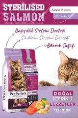 PREMİUM KISIRLAŞTIRILMIŞ SOMONLU PORTAKALLI KEDİ MAMASI 10 KG