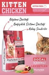 PREMİUM TAVUKLU NARLI HAVUÇLU YAVRU KEDİ MAMASI 10 KG