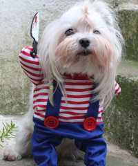 Pijamalı Köpek Kostüm Medium 6-10 Kg Boy : 31 Cm