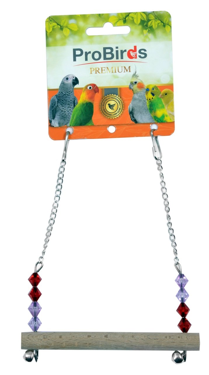 ZİNCİRLİ SALINCAK