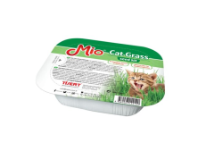 Mio Cat Grass Kedi Çimi