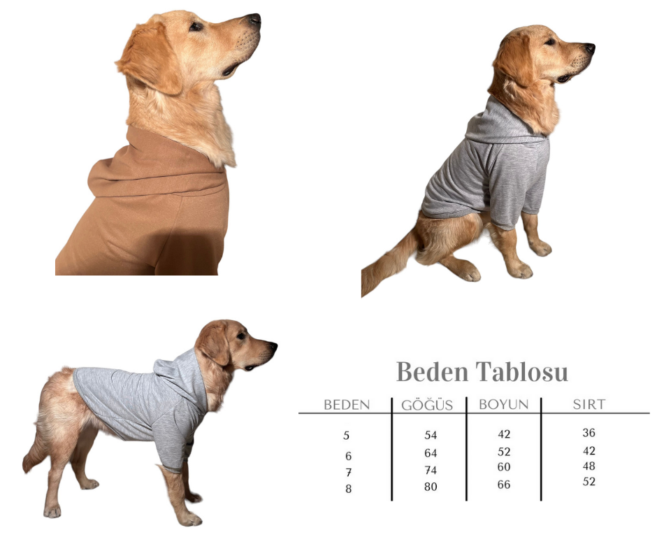 Büyük Irk Köpekler İçin 4'Lü Set Kapüşon Kıyafet