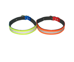 Fosforlu Boyun Tasması 2.5x57 Cm