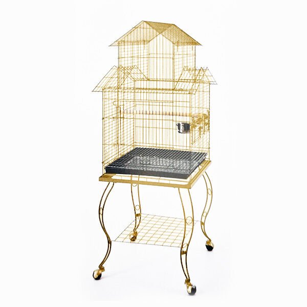Sehpalı Papağan Kafesi Gold (51 x 51 x 139)