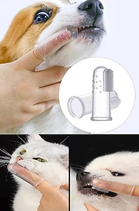 Kedi Köpek Diş Kaşıma ve Fırçalama Aparatı parmak fırça